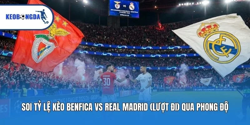 Soi tỷ lệ kèo Benfica Vs Real Madrid (lượt đi) qua phong độ